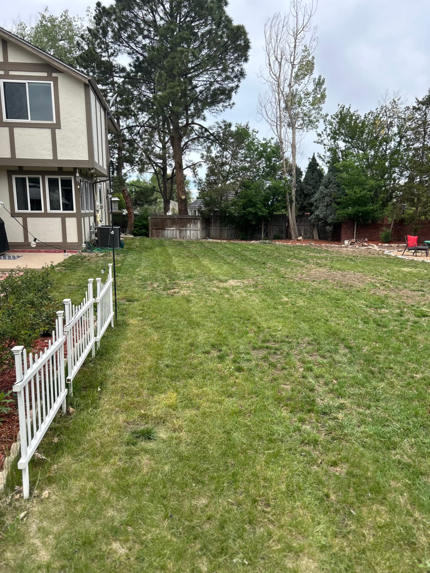 Backyard lawn cleanup and maintenance