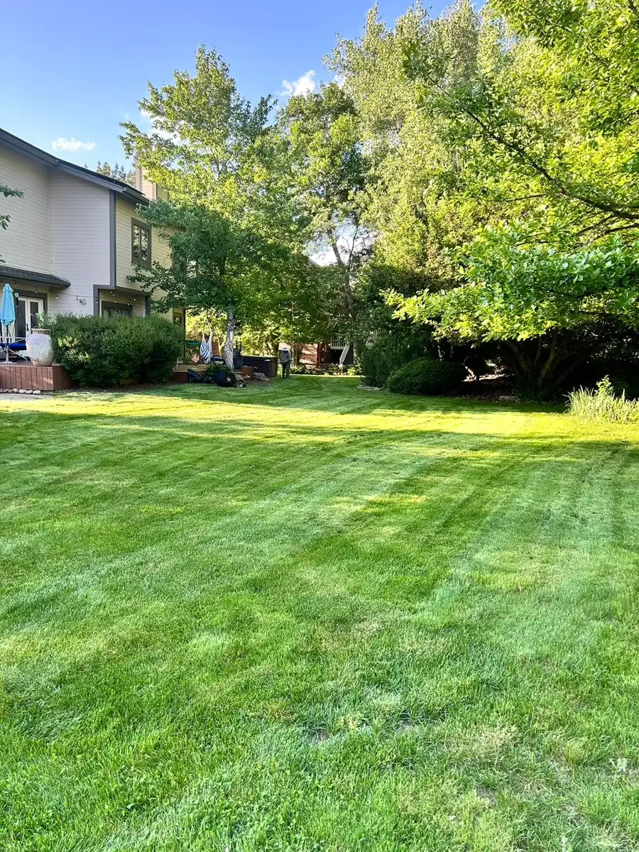 Large backyard lawn mowed with clean stripes in Denver, Colorado